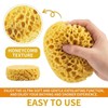 Body Bath Sponges for Adults,Bath Sponge,Shower Sponge,Pack of 2