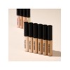 The Saem Cover Perfection Tip Concealer / 더샘 커버 퍼펙션