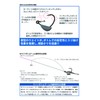 Arukazik Japan BM.Keel 3.5g #1