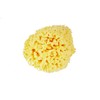 Yellow Sea Sponge Honeycomb 12.5 cm Grienchland