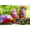 Bormioli Rocco Fido Glass Square Jar, 3 Liter