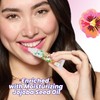 Blossom Lip Gloss Tubes, Watermelon Scented Thick Clear High Shine