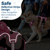 Funfox Dog Harness Small No Pull, Adjustable 2 Clips Anti-Pull