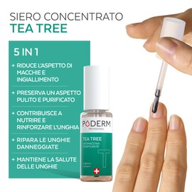 Poderm 5 in 1 Siero Booster Unghie - Tea Tree | Trattamento Anti-Macchie & Riparatore per Unghie Danneggiate - 6 ML | Nutre & Purifica | 100% Naturale - Sviluppato da un Podologo in Svizzera