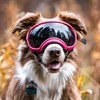 Rex Specs V2 Dog Goggles (X-Large, Black)