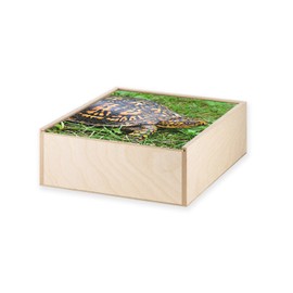 Fabulous Wooden Box - Turtle of Earth Black and Yellow Wandering in Grass (11 x 11 x 3.5cm)