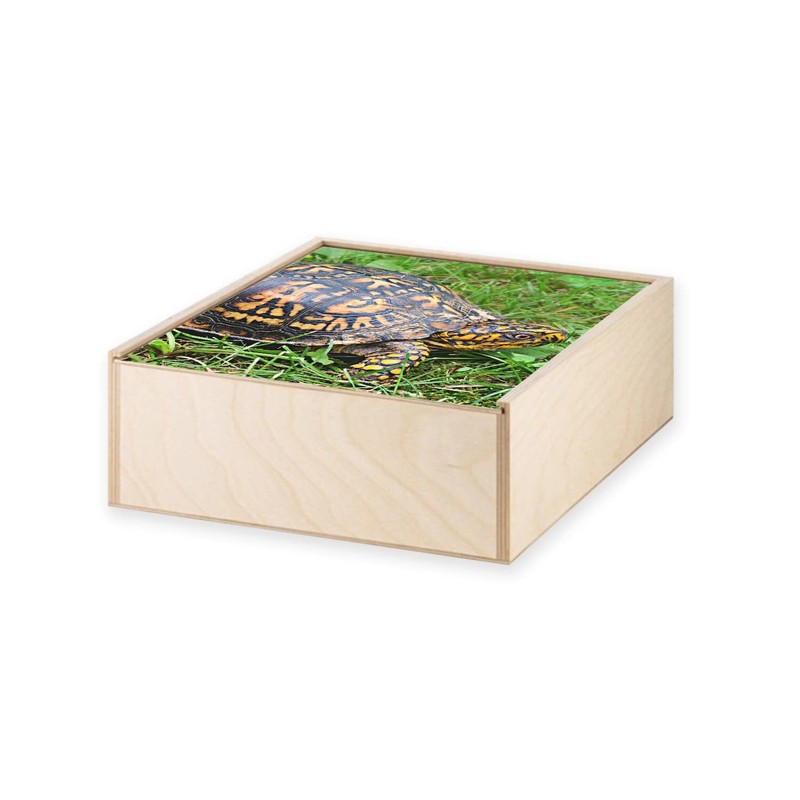 Fabulous Wooden Box - Turtle of Earth Black and Yellow