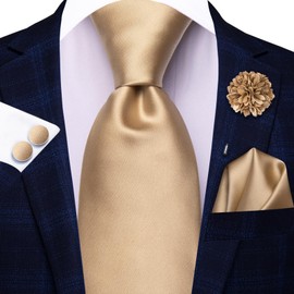 Hi-Tie Champagne Ties and Flower Lapel Pin Set Silk Mens Solid Ties Pocket Square Cufflinks 4PCS Necktie for Wedding
