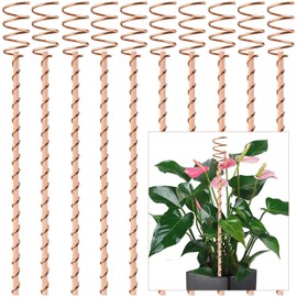10Pack Electroculture Plant Stakes, 12" Electroculture Copper Gardening Antenna, Copper Coil Plant Stakes for Garden,Garden Stakes for Plants Fruits Vegetables Growth,Eco-Friendly,High-Yield