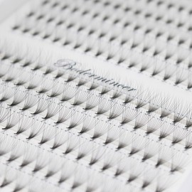 Dedila Short Stem Nature Long 10D Premade Fans Dramatic Volume Eye Lashes Extensions Thickness 0.07mm D Curl Soft and Light Weight Individual False Eyelashes Cluster (15MM)