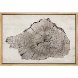 SIGNLEADER Framed Canvas Print Wall Art Close Up Detail Wood Tree Ring Log Nature Wilderness Digital Art Realism Decorative Rustic Relax/Calm for Living Room, Bedroom, Office - 24"x36" Natural