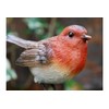 Homes on Trend Garden Robin Bird Ornament Statue Decorative Birds