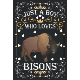 Just A Boy Who Loves Bisons: Bisons Lover Gifts For Boys: (100 Pages 6x9") lined notebook, Bisons Notebook for Boys & men Birthday Gifts