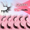 Wispy Cat Eye Look False Eyelashes for Lash Extensions, 5
