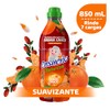 Ensueño Natureza Argan + Mandarina Suavizante de Telas 850ml