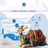 Aadvik Freeze Dried Camel Milk Powder | Pasture Grazed |