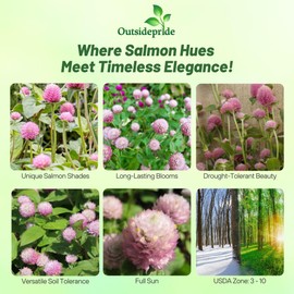 Outsidepride Salmon Gomphrena Seeds - 1000 Pcs Annual, Heat & Drought Tolerant, Pollinator Friendly Globe Amaranth Seeds for Planting w/Vibrant Round Blooms for Beds, Borders, and Arrangements