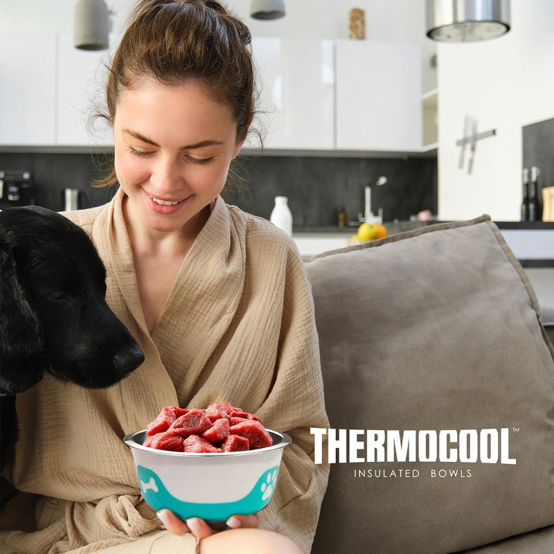 Thermocool Stainless Steel Dog Bowls, Non Slip, No Spill Insulated