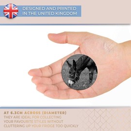 Destination Vinyl ltd Magnet for Refrigerator, Fridge BW - Little Cute Donkey Horse Animals for Office, Cabinet and Whiteboard, Magnetic Stickers, 40943