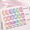 Double Rhythm 0.5 Oz Cat Eye Gel Polish with Magnet