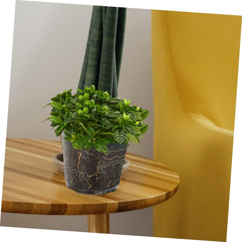 CAXUSD 6pcs Transparent Orchid Pots with Drainage Holes Clear Nursery