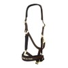 Back on Track Welltex® Werano Headcollar (Full, Brown)