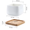 T4U Succulent Planters, Pots with Bamboo Saucers, Rectangular Ceramic Cactus