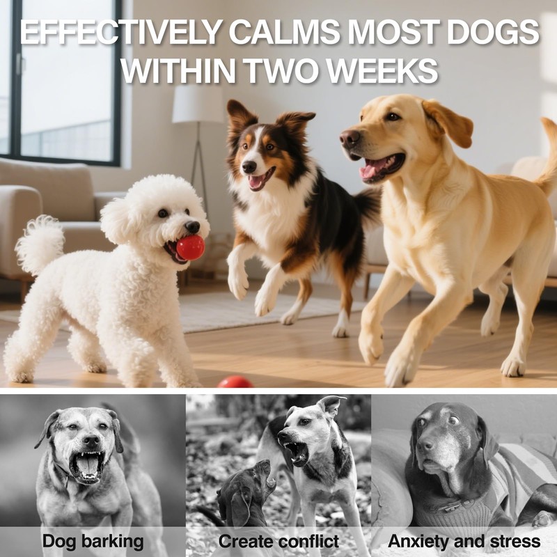 Dog Calming Pheromones Diffuser 6 in 1 Appeasing Relaxing Diffuser
