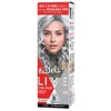 Schwarzkopf Live Colour Pastels Cool Grey 75mL
