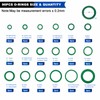 Daptemn 175 PCS A/C Compressor System Seal Washers Kit, 12
