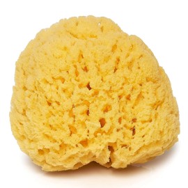 Natural Yellow Sea Grass Sponge 5 Inch | Perfect for Bath, Shower and Body Care | Softly Rough but not skin irritating | Lathers & Washes Really Well