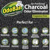 OdoBan Air Purifying Charcoal Natural Odor Eliminator, Non-Toxic Formula, Made