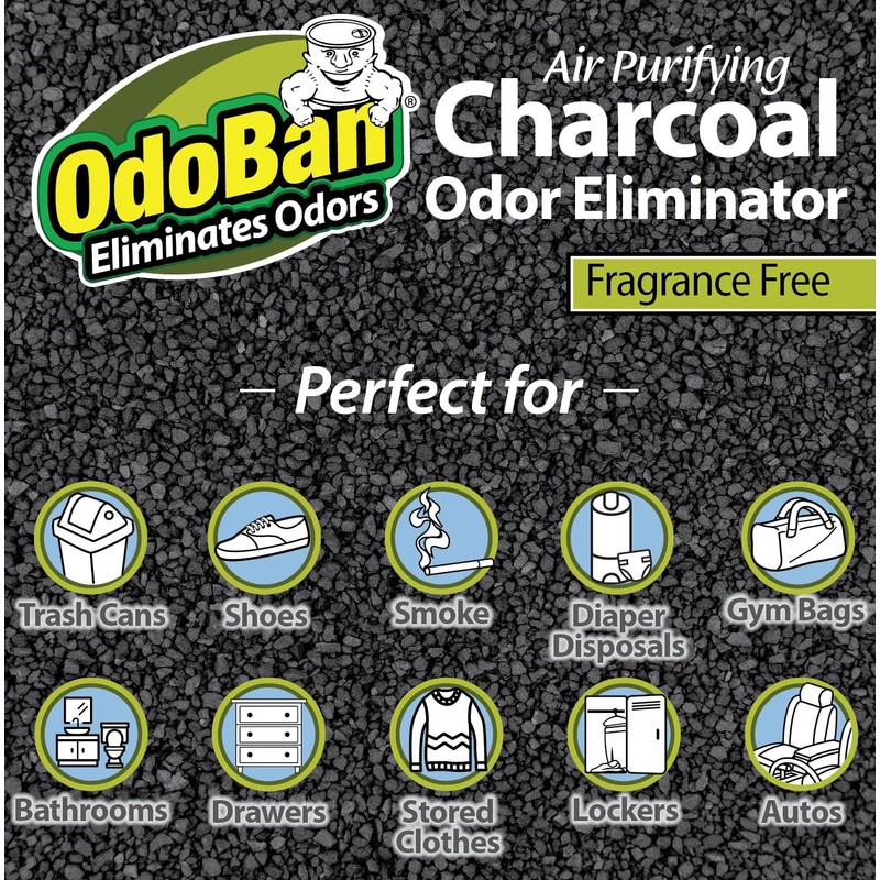 OdoBan Air Purifying Charcoal Natural Odor Eliminator, Non-Toxic Formula, Made