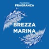 Duck Fresh Discs Blue- Base per Dischi Gel Igienizzanti WC,