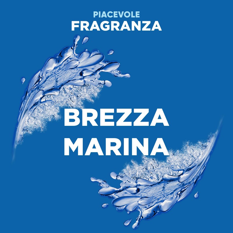 Duck Fresh Discs Blue- Base per Dischi Gel Igienizzanti WC,
