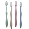Adult Toothbrushes x 4 ~ Family Bulk Pack 4 Pastel