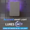 Indoor Flying Insect Trap with UV Light - 1 Device