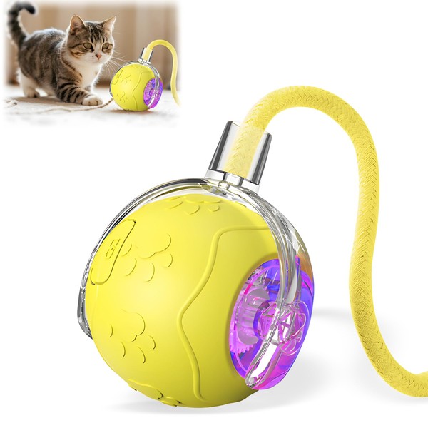 rexibuz Interactive Cat Toys Ball for Indoor Cats, 2025 New