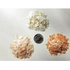 1 TBSP Seashell Flakes - Crushed Jingle Seashell - Seashell