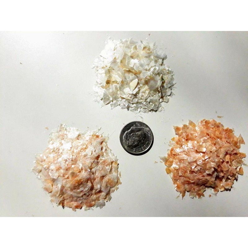 1 TBSP Seashell Flakes - Crushed Jingle Seashell - Seashell