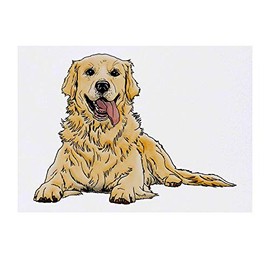 'Golden Retriever' Temporary Tattoo - Water Resistant, Skin-Safe, Non-Toxic Transfer (TO00039968)