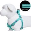 Blueberry Pet Essentials Reflective Back to Basics Matching Dog Harness