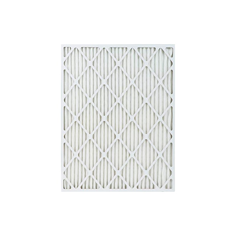 True Blue 316251.4 Allergen Protection 16x25x1 Air Filter MERV 11,