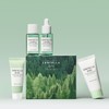 SKIN1004 Gongsigmol [Trouble Care] Tea Tree 4-piece Travel Kit