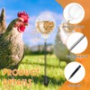 AwObEpl 2 Pack Peck Toy Lightweight Chicken Treat Dispenser Interactive