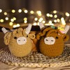 CROCHET BOX Crochet Kit for Beginners: 2 PCS Highland Cow