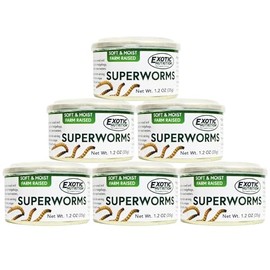 Canned Superworms 1.2 oz (6 Pack) - Healthy High Protein Insect Treat - Hedgehogs, Sugar Gliders, Reptiles, Wild Birds, Chickens, Lizards, Bearded Dragons, Skunks, Opossums, Fish, Amphibians, Turtles