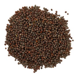 Buy Wellness MUSTARD SEEDS, Brown, USDA Certified Organic Brown Mustard Seeds 1 LB