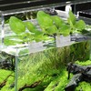 3 Holes Upgraded Aquatic Plant Cup Aquarium Plant Holder for