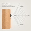 Step Light Wall Sconce Beech Wood Motion Dusk to Dawn